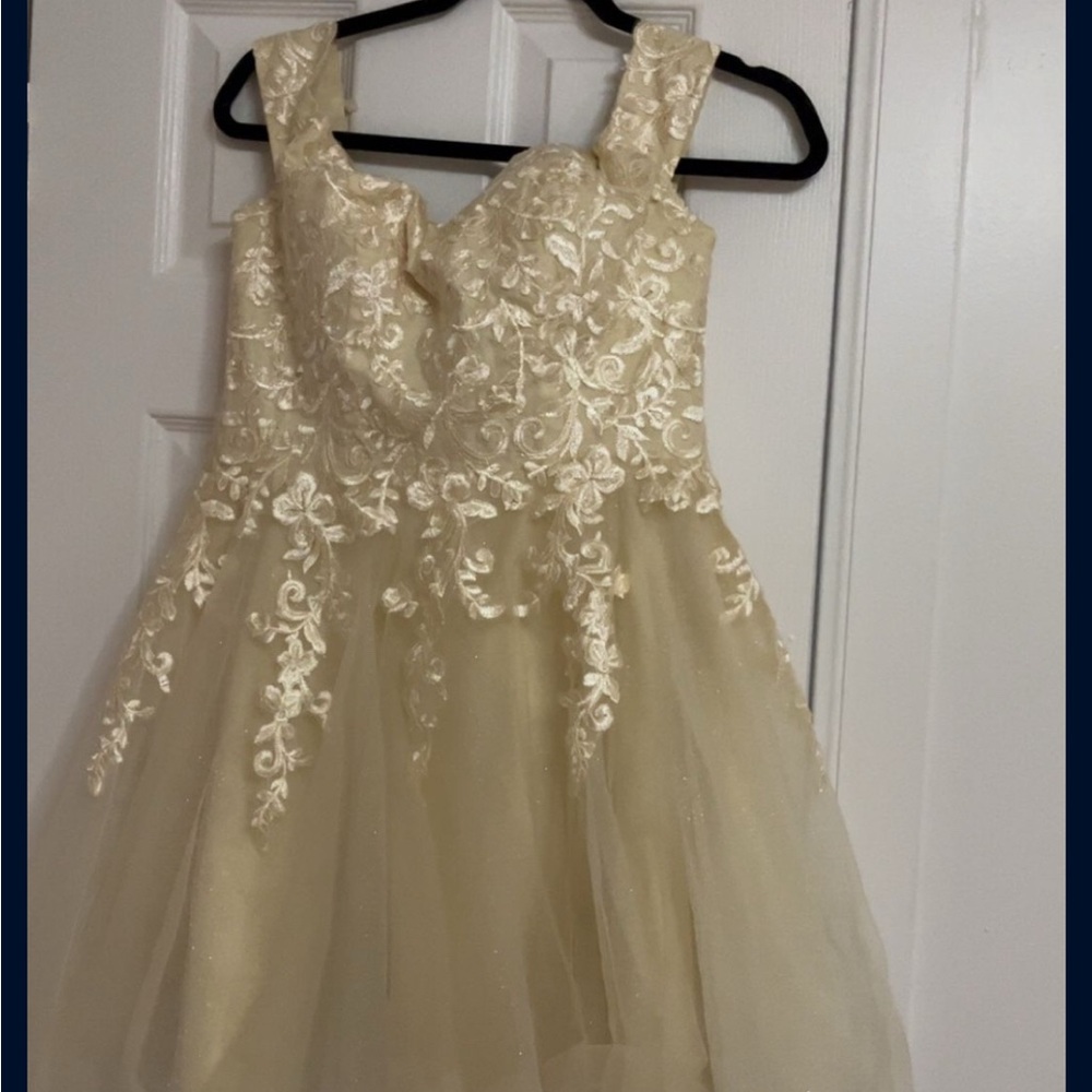 Elegant Lace Dress